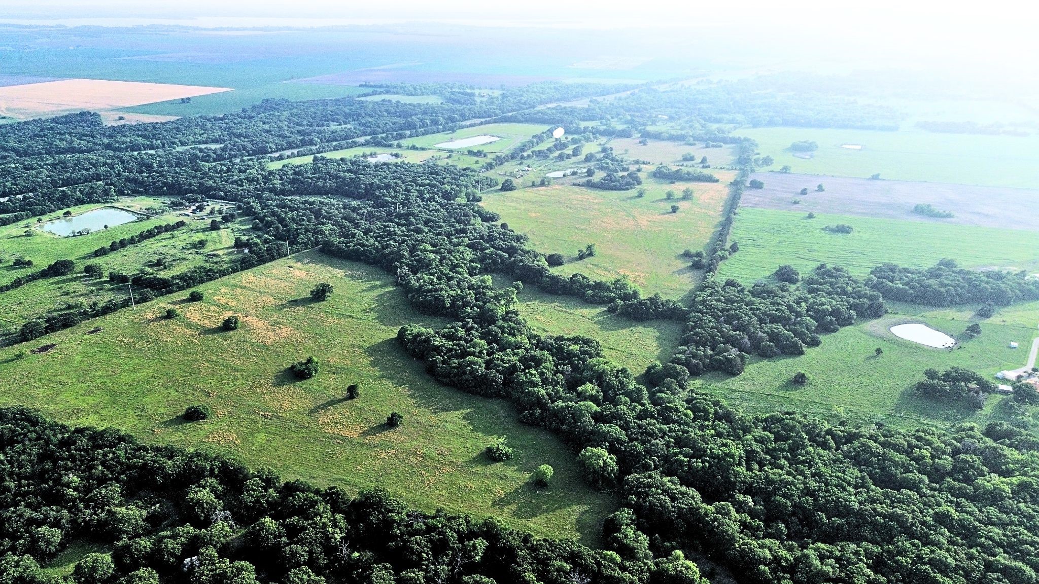 150 +- Acres Highway 31 Kerens TX 75144