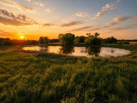150 +- Acres Highway 31 Kerens TX 75144