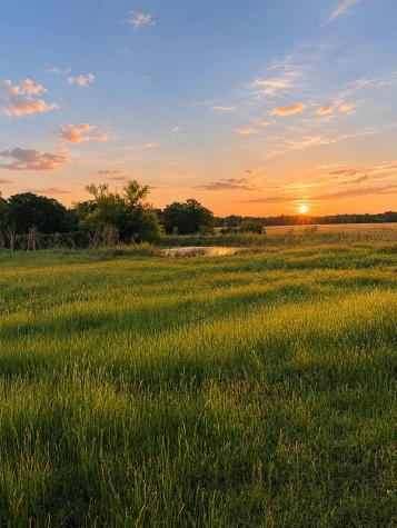 150 +- Acres Highway 31 Kerens TX 75144