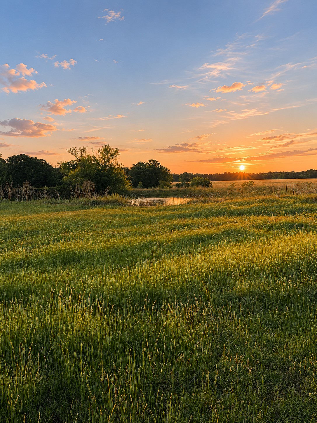 150 +- Acres Highway 31 Kerens TX 75144