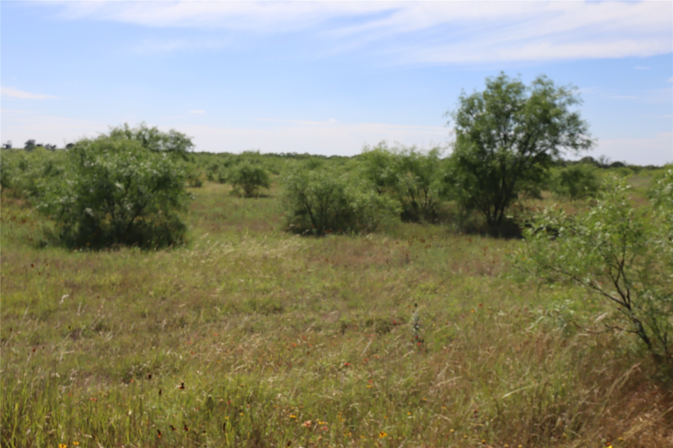 807 County Road 215 Rising Star TX 76471