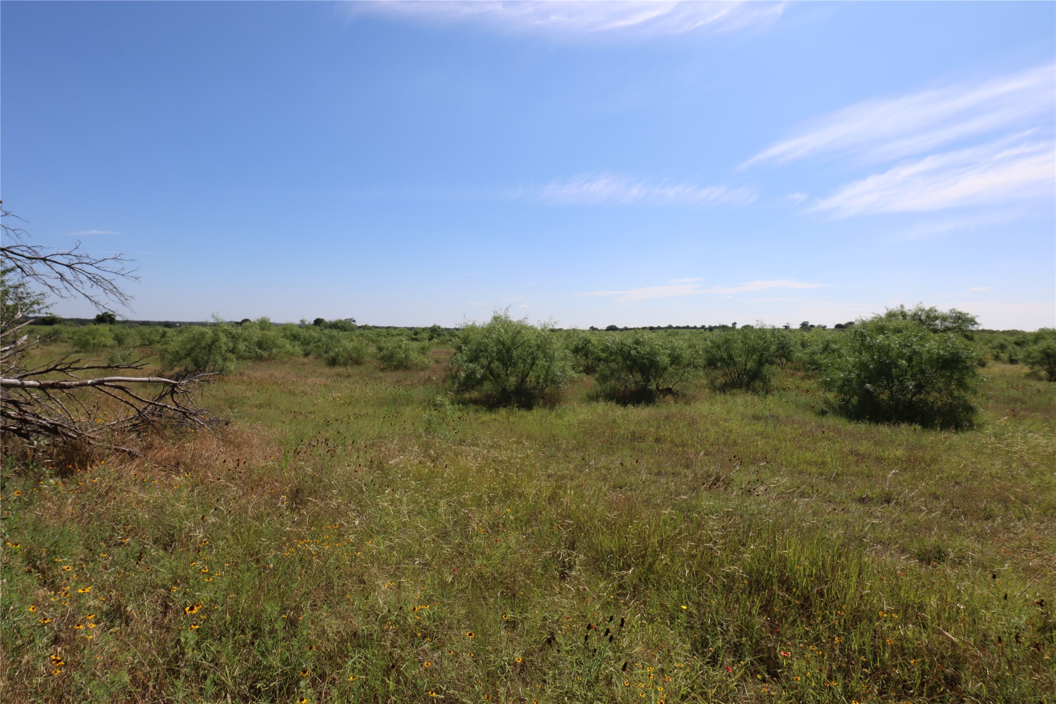 807 County Road 215 Rising Star TX 76471