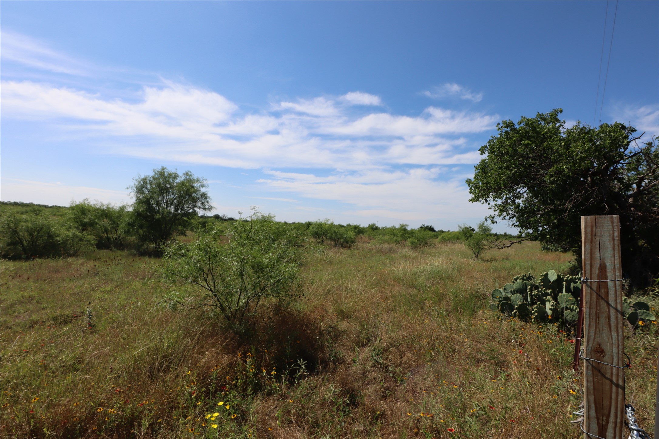 807 County Road 215 Rising Star TX 76471