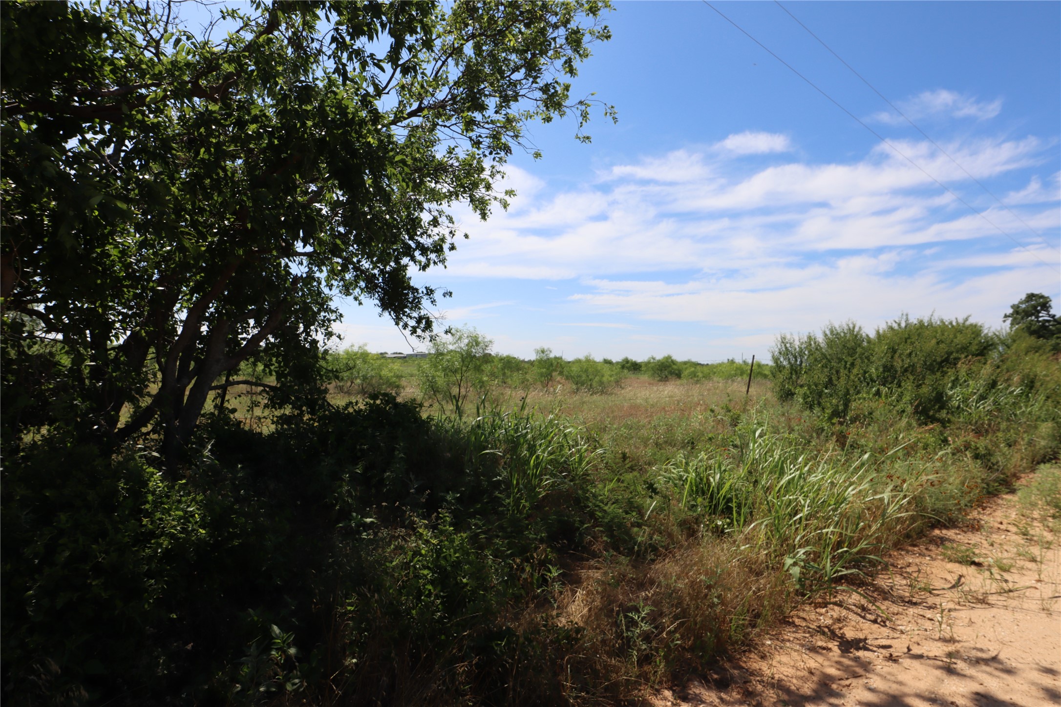 807 County Road 215 Rising Star TX 76471