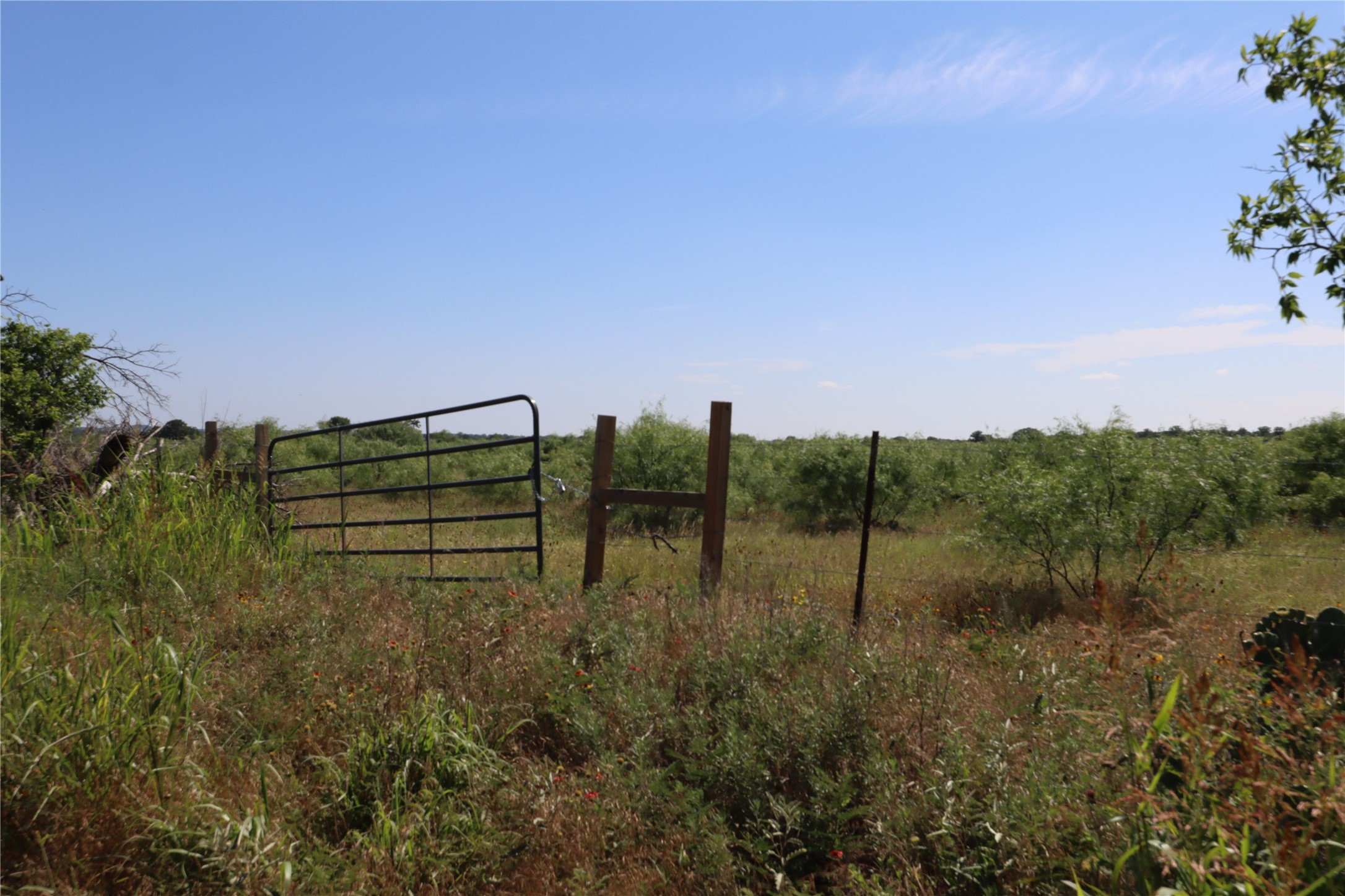 807 County Road 215 Rising Star TX 76471