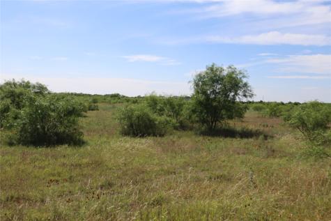 807 County Road 215 Rising Star TX 76471