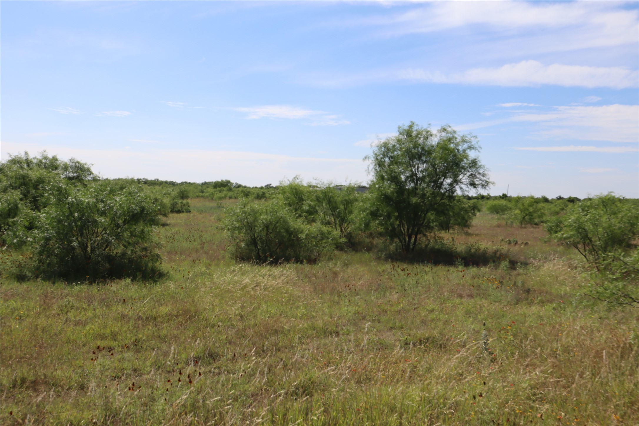 807 County Road 215 Rising Star TX 76471