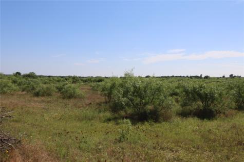 807 County Road 215 Rising Star TX 76471