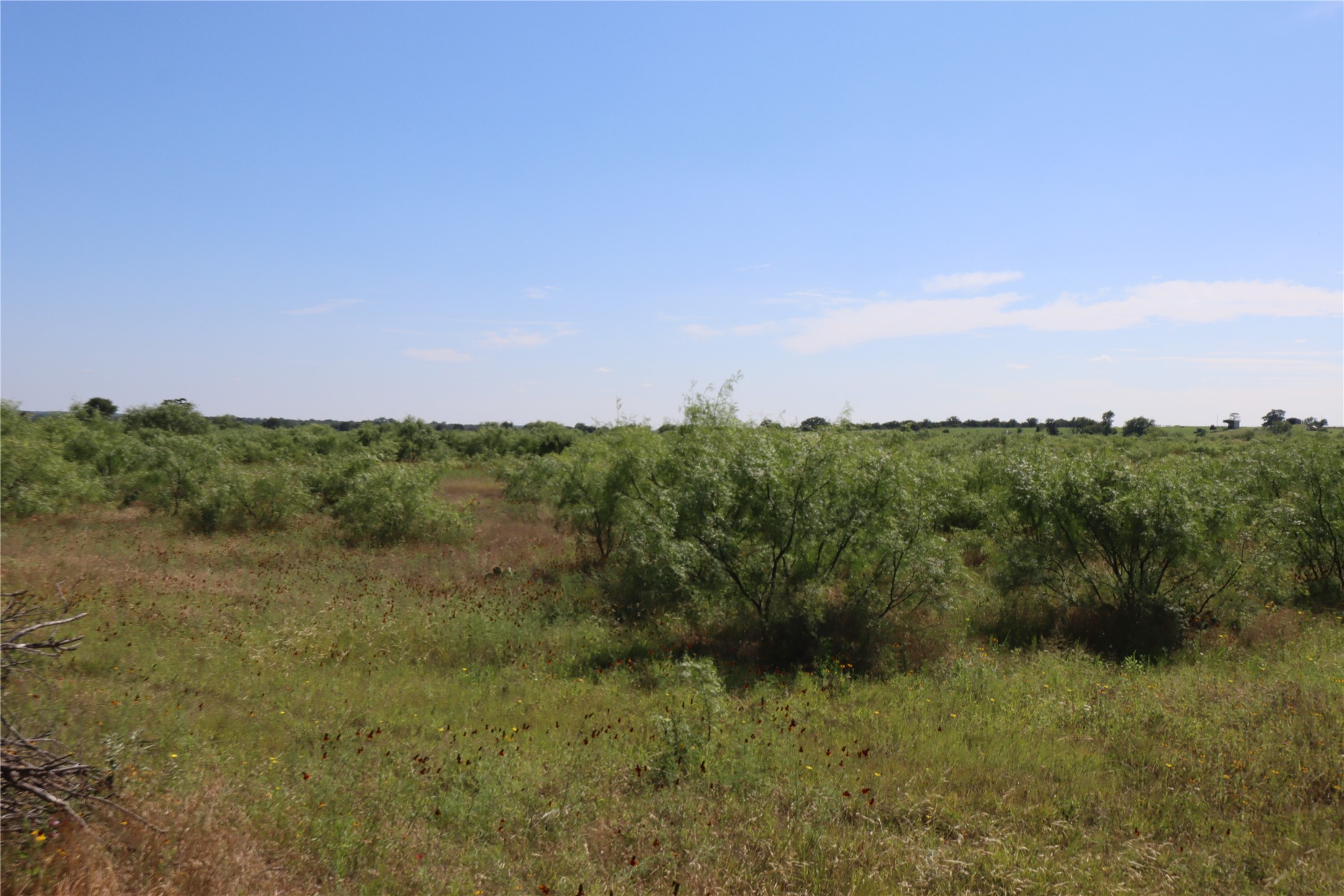 807 County Road 215 Rising Star TX 76471