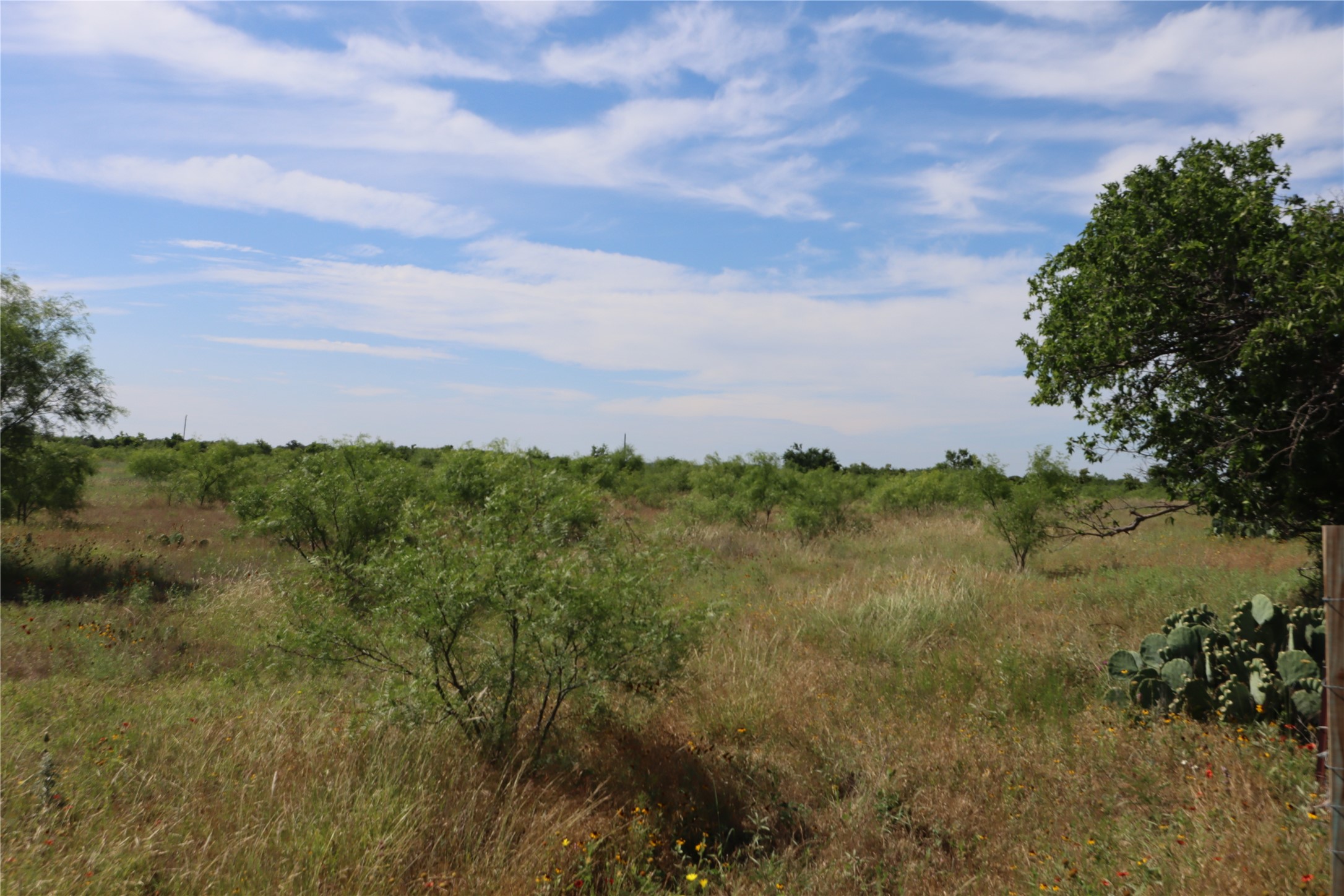 807 County Road 215 Rising Star TX 76471