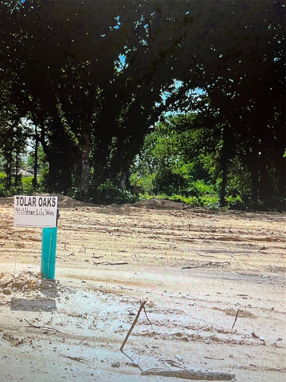 453 Peace Lily Way Tolar TX 76476