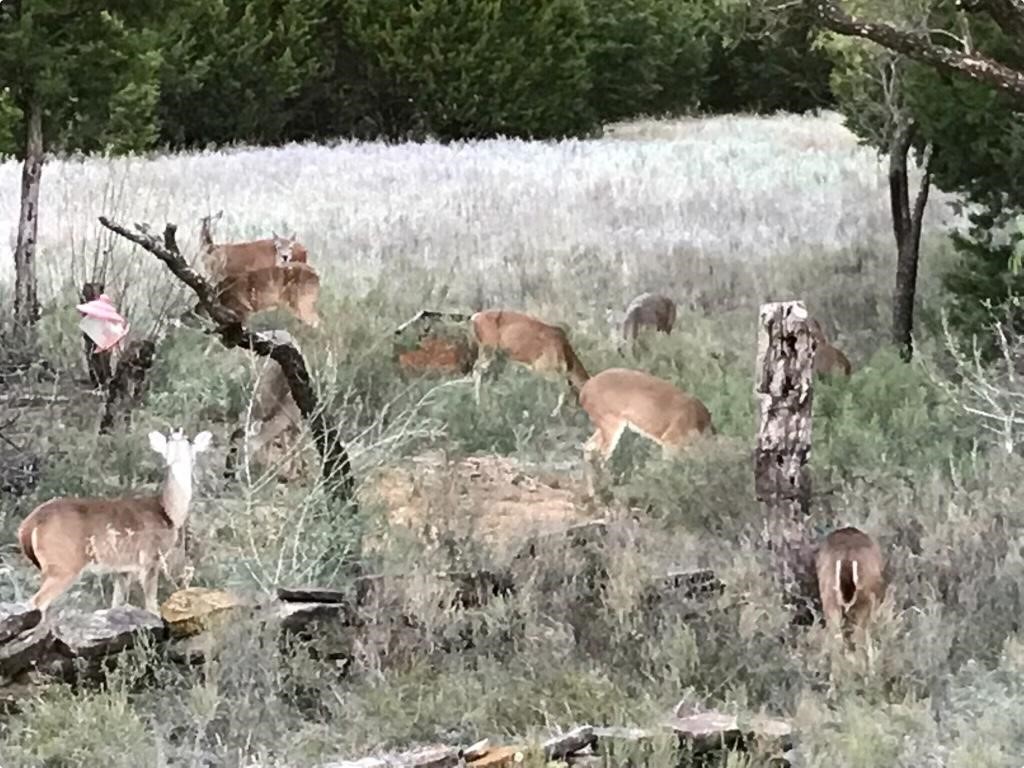 14459 County Road 107 Mingus TX 76463