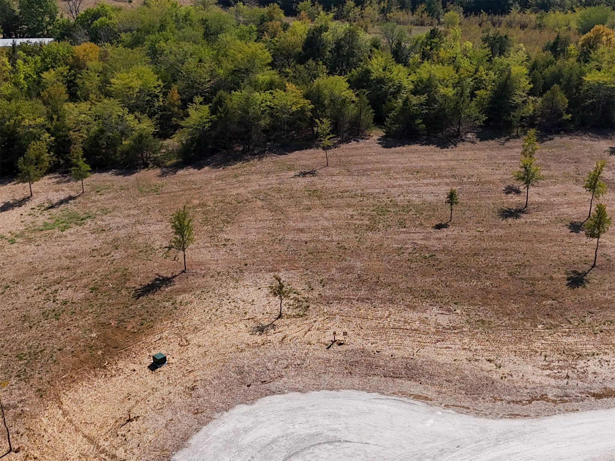 Lot 142 Timberland Heights Windom TX 75446