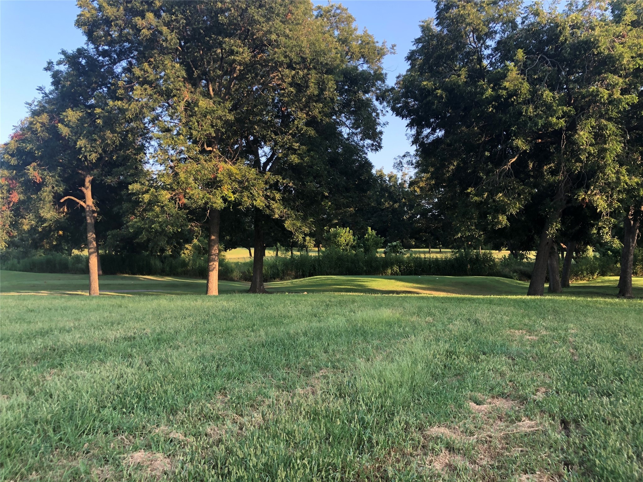 1300 Pioneer Trail Bonham TX 75418