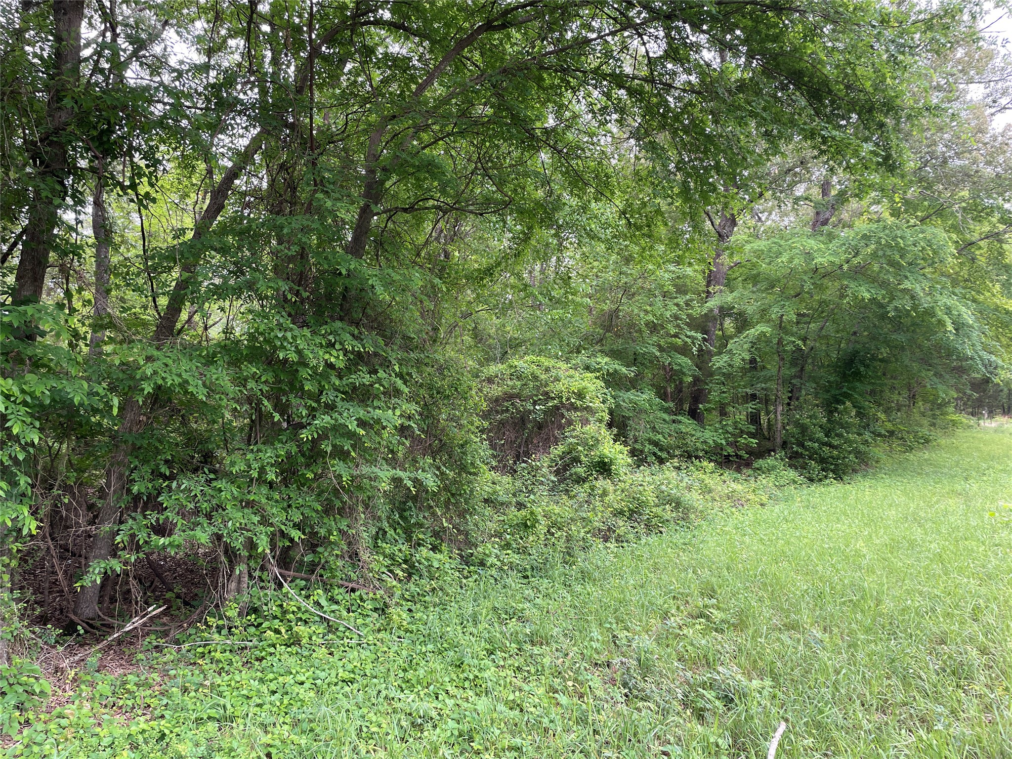 Tbd Valle Vista Road Athens TX 75751