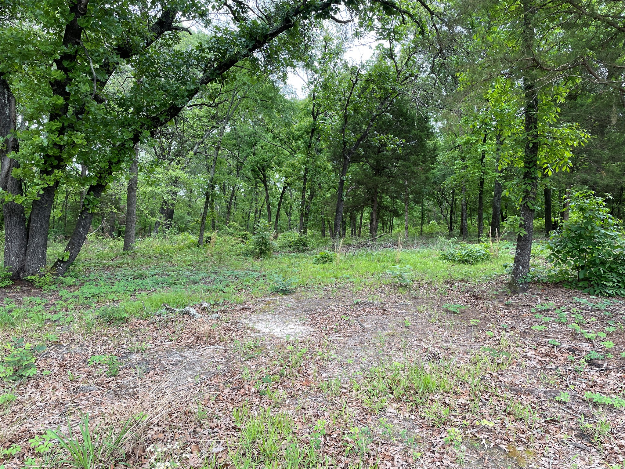 Tbd Valle Vista Road Athens TX 75751