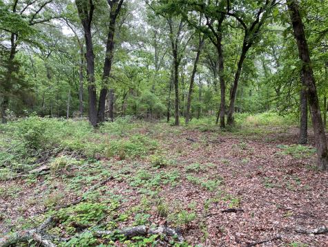 Tbd Valle Vista Road Athens TX 75751