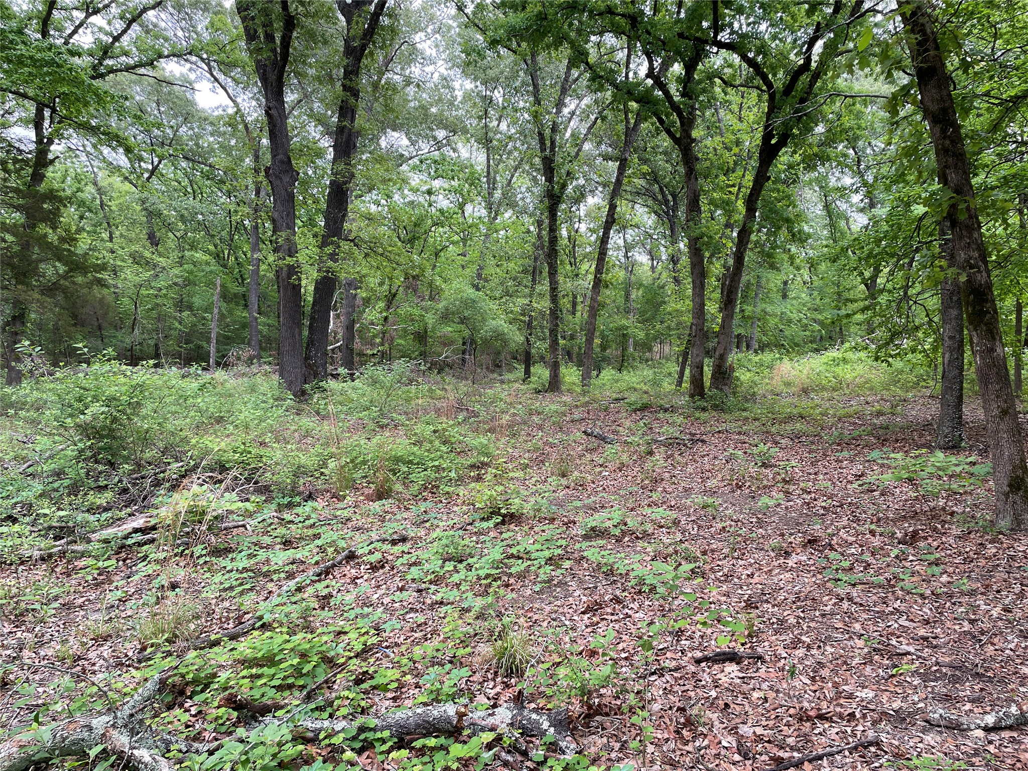 Tbd Valle Vista Road Athens TX 75751