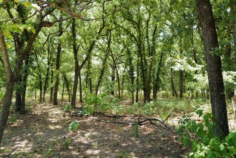 745 Glade Park Court Azle TX 76020