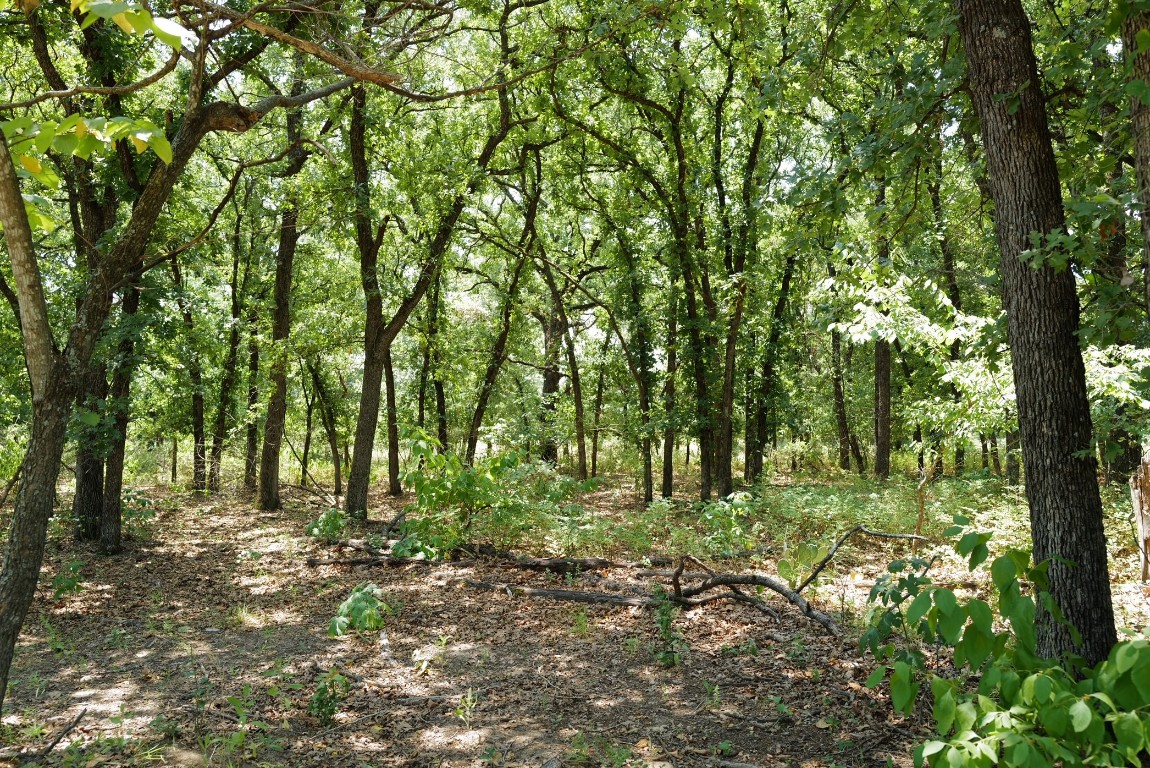 745 Glade Park Court Azle TX 76020