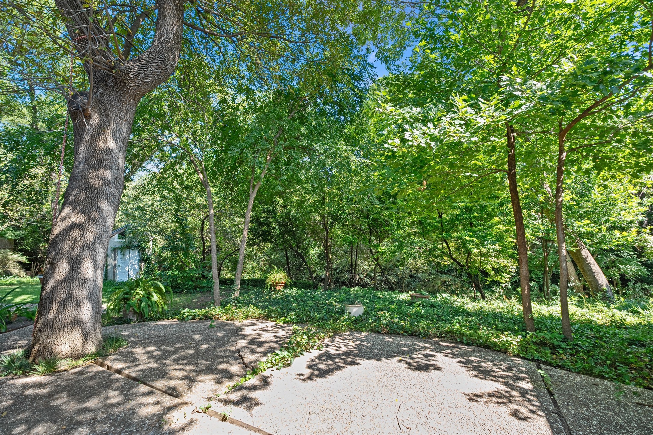 10706 Royal Park Drive Dallas TX 75230