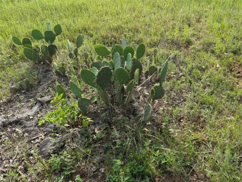 10.1 Acres Co Road 4055 Kemp TX 75143