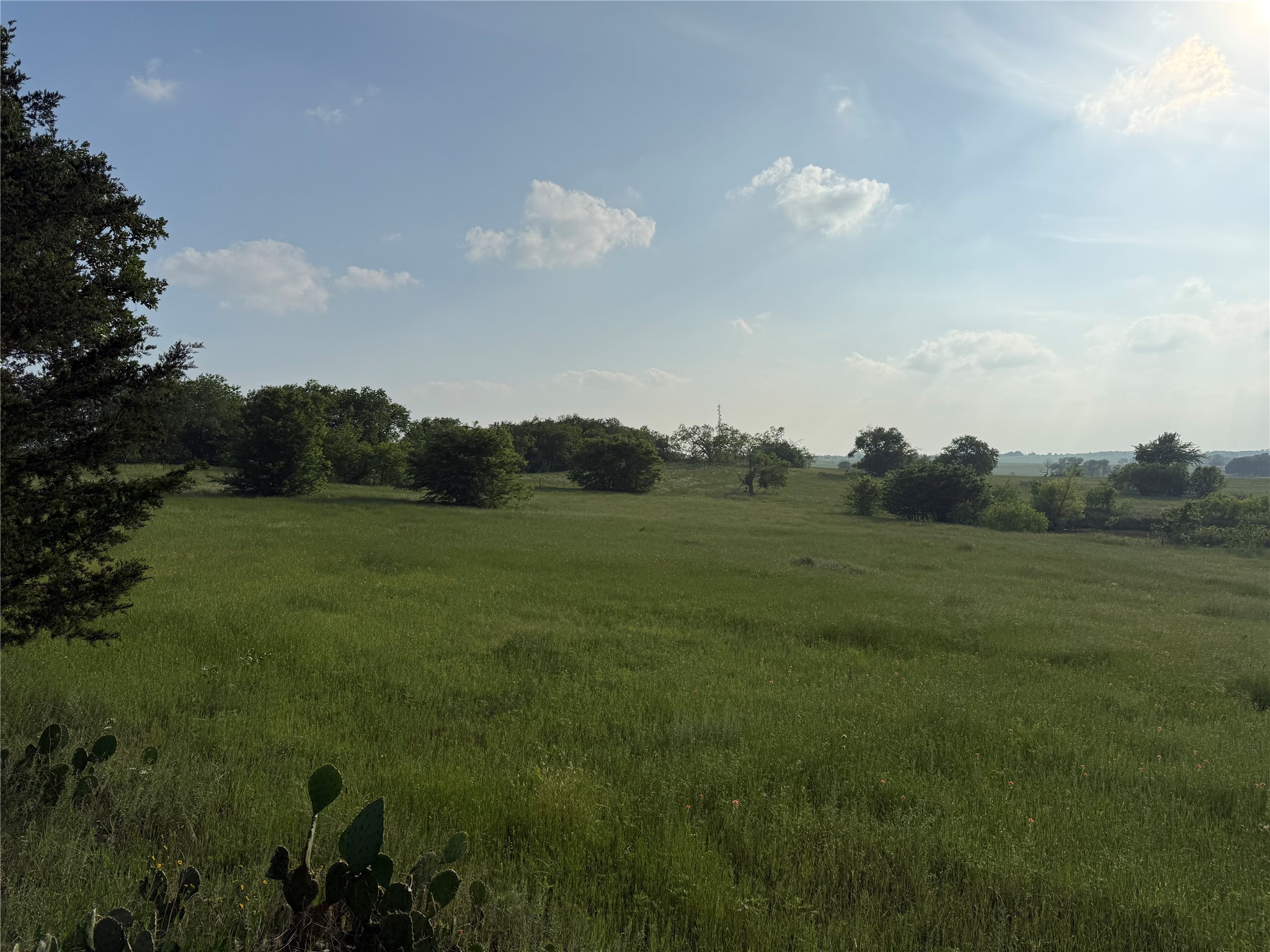 10.1 Acres Co Road 4055 Kemp TX 75143