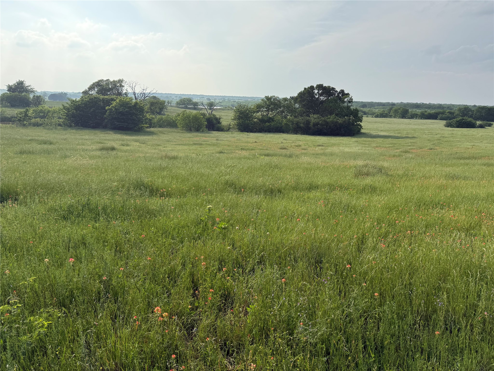 10.1 Acres Co Road 4055 Kemp TX 75143