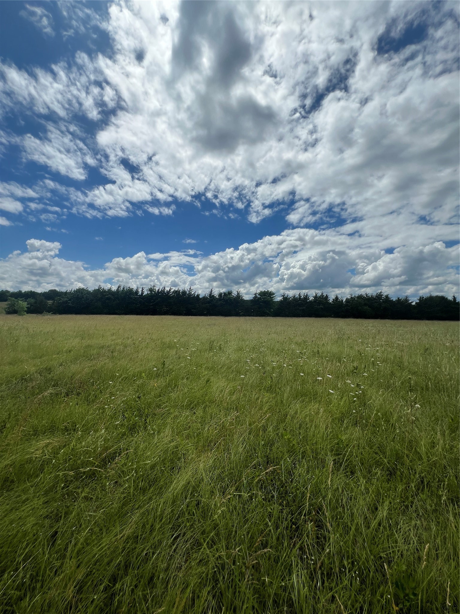 195 Pr 33267 Sumner TX 75486