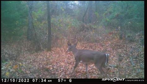 TBD County Road 2415 Honey Grove TX 75446