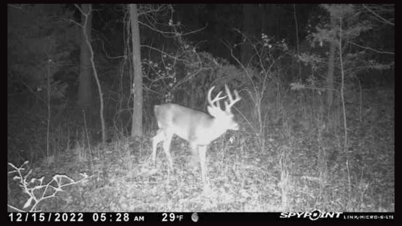 Tbd County Road 2415 Honey Grove TX 75446