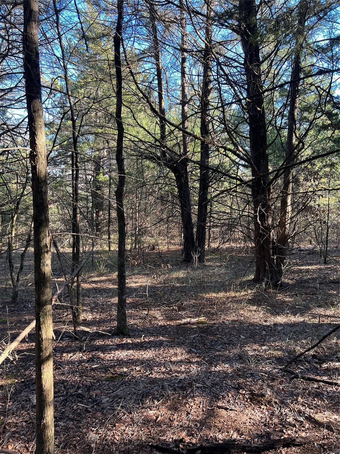 Tbd County Road 2415 Honey Grove TX 75446