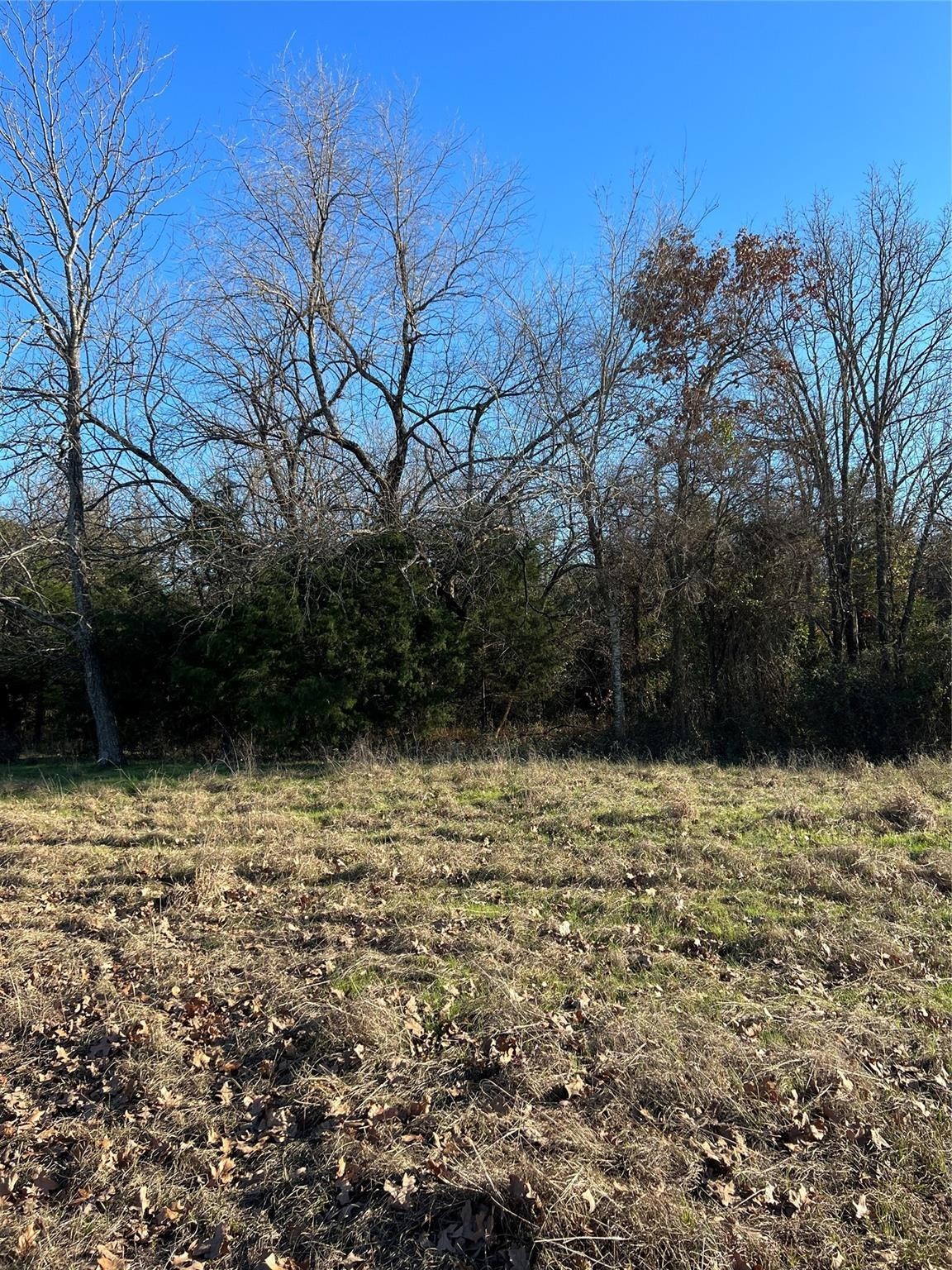 Tbd County Road 2415 Honey Grove TX 75446