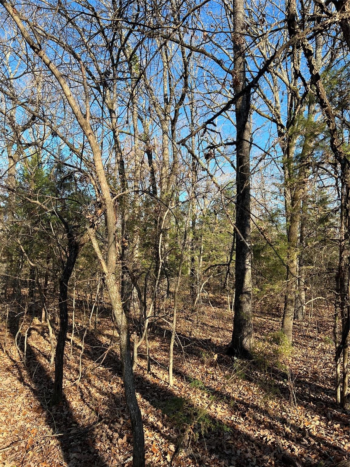 Tbd County Road 2415 Honey Grove TX 75446