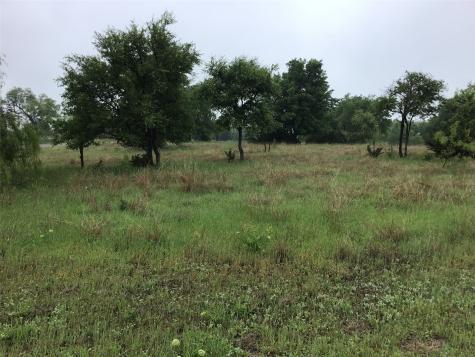 42122 Crooked Stick Drive Whitney TX 76692