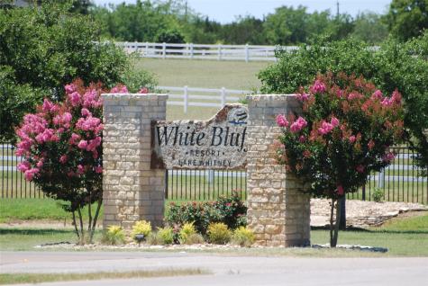 42122 Crooked Stick Drive Whitney TX 76692