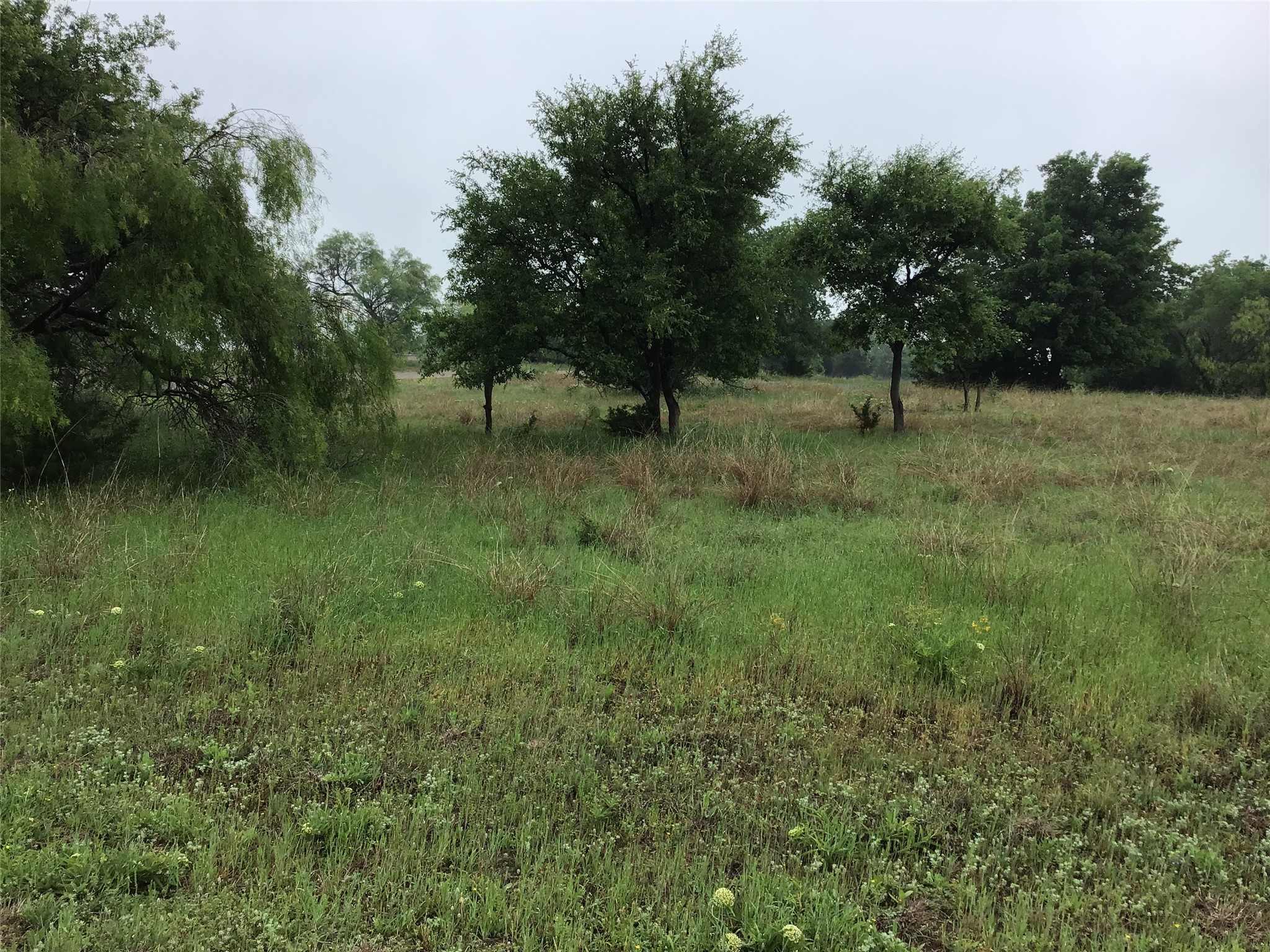 42122 Crooked Stick Drive Whitney TX 76692