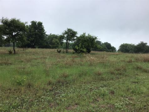 42122 Crooked Stick Drive Whitney TX 76692