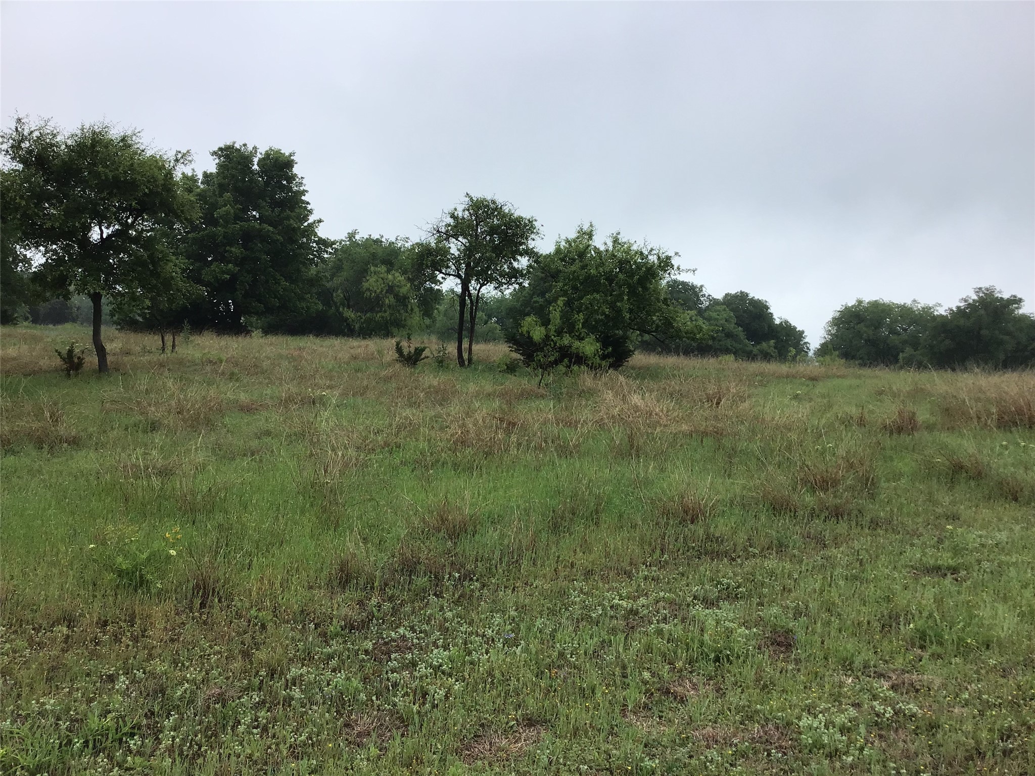 42122 Crooked Stick Drive Whitney TX 76692
