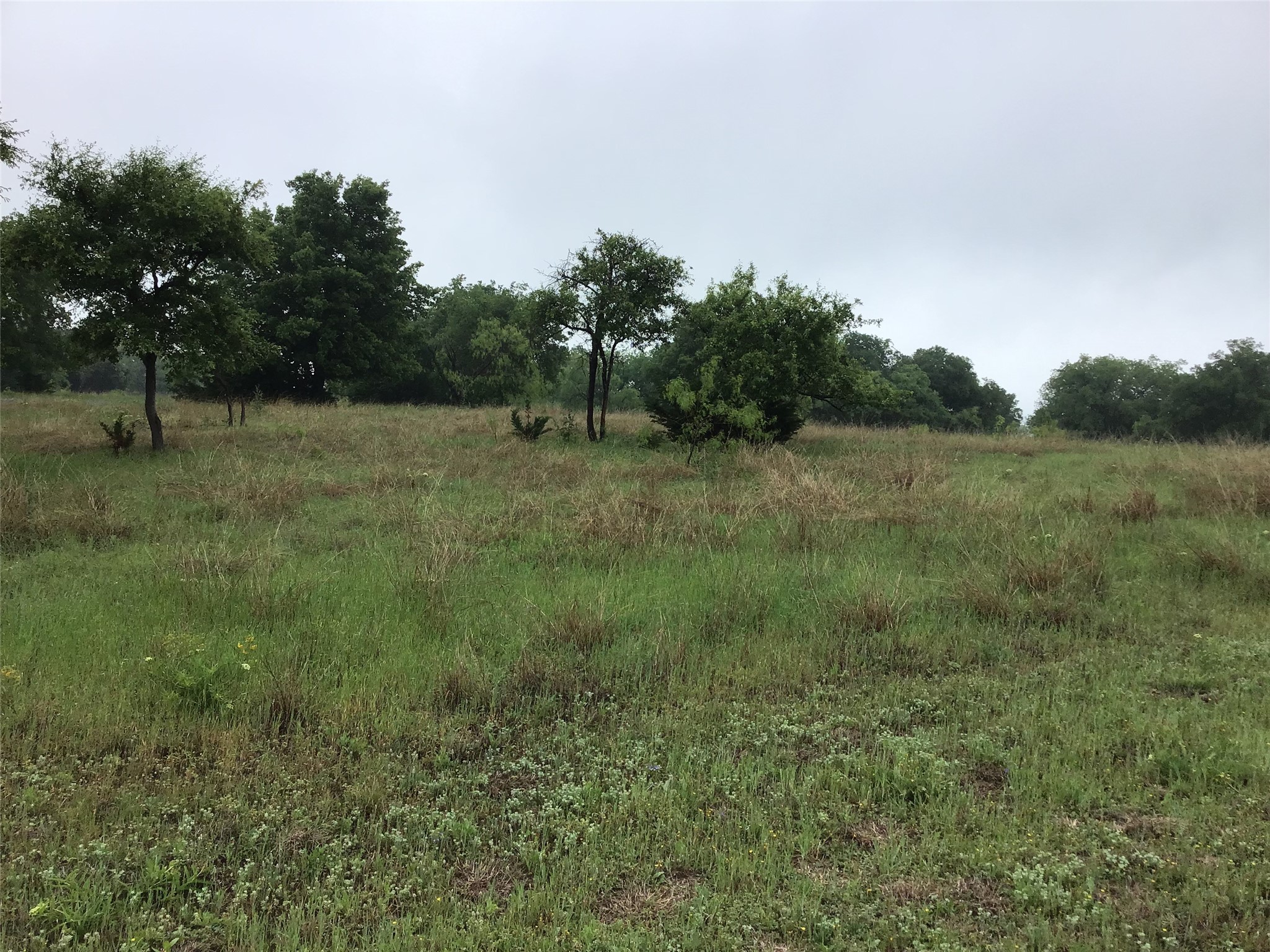 42122 Crooked Stick Drive Whitney TX 76692