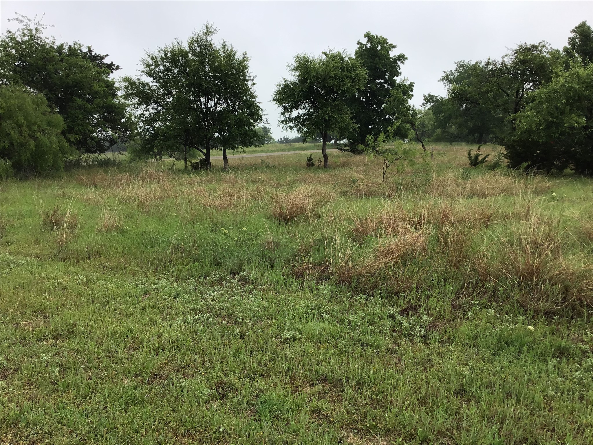 42122 Crooked Stick Drive Whitney TX 76692