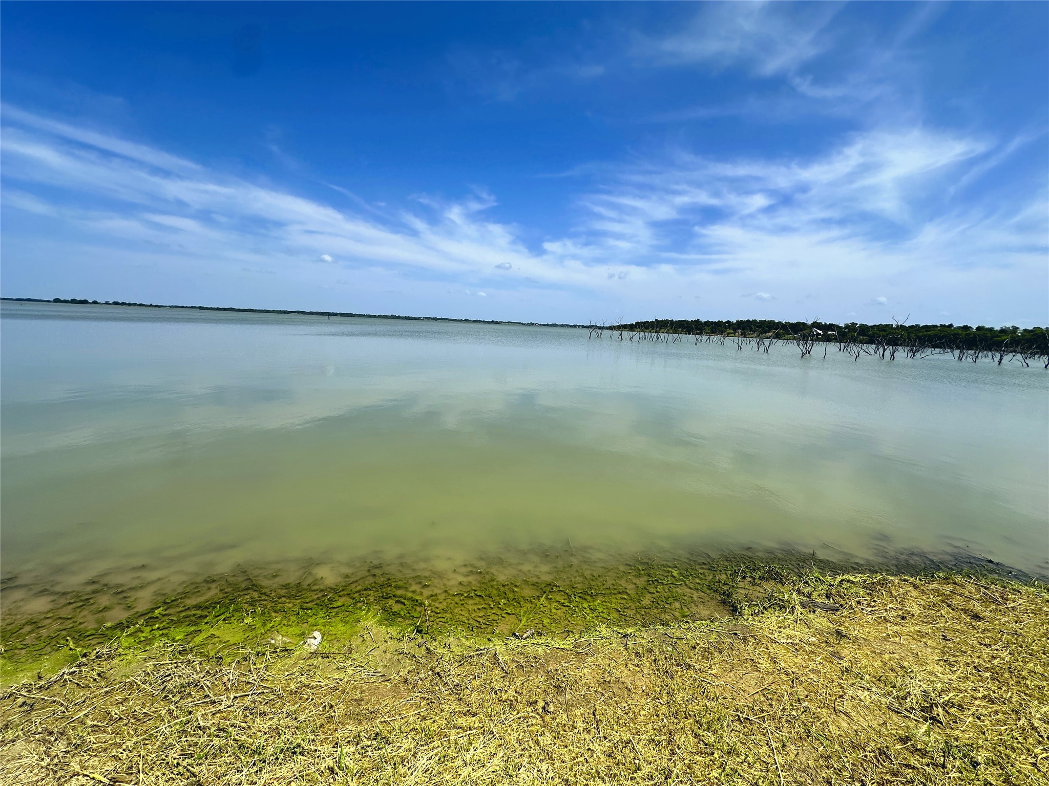 Lot 12 Carmel Valley Corsicana TX 75109