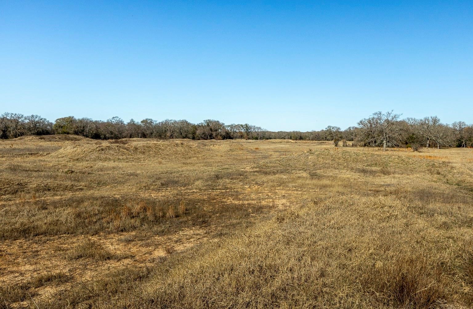 12005 County Road 4078 Scurry TX 75158