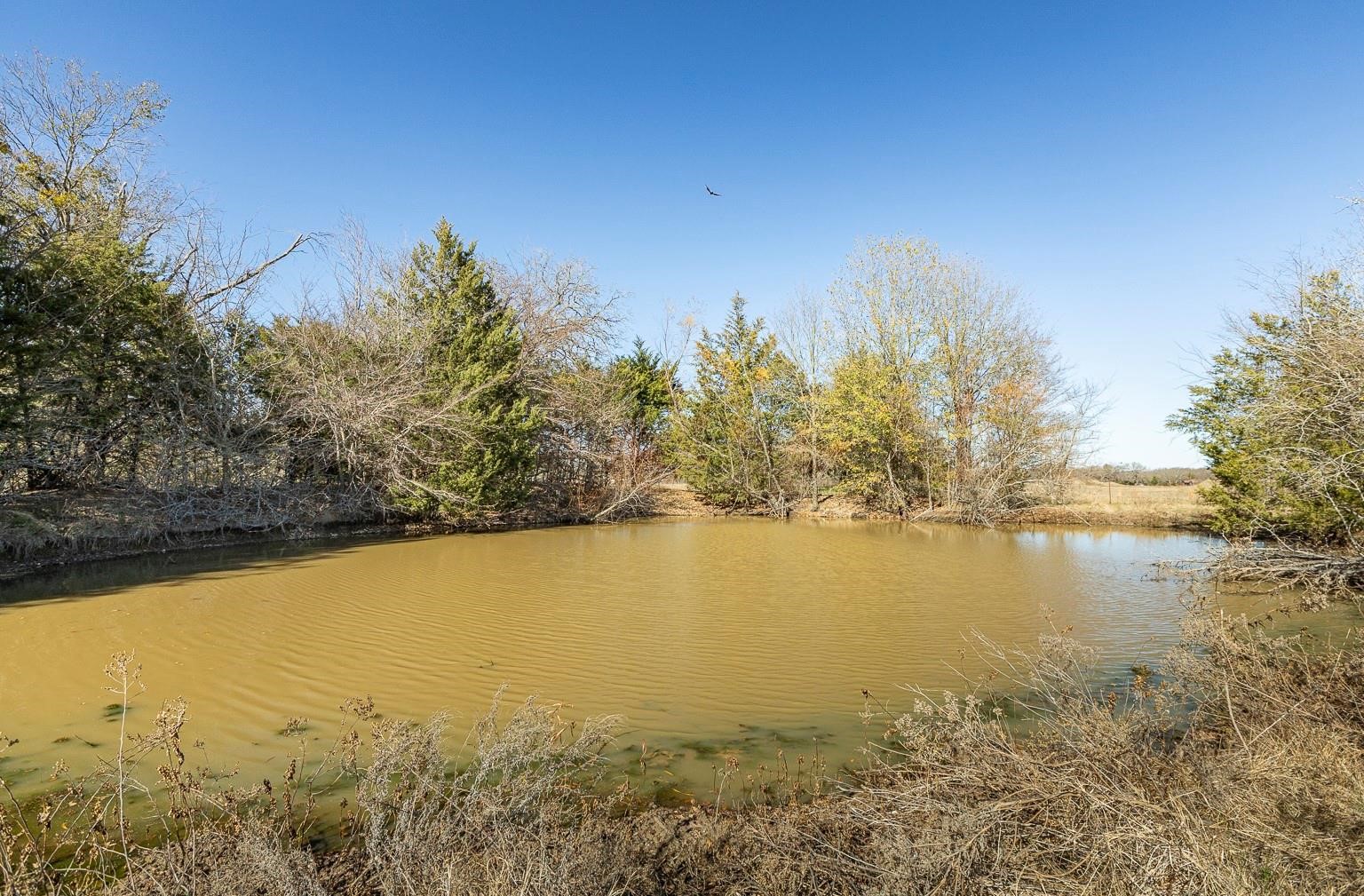 12005 County Road 4078 Scurry TX 75158