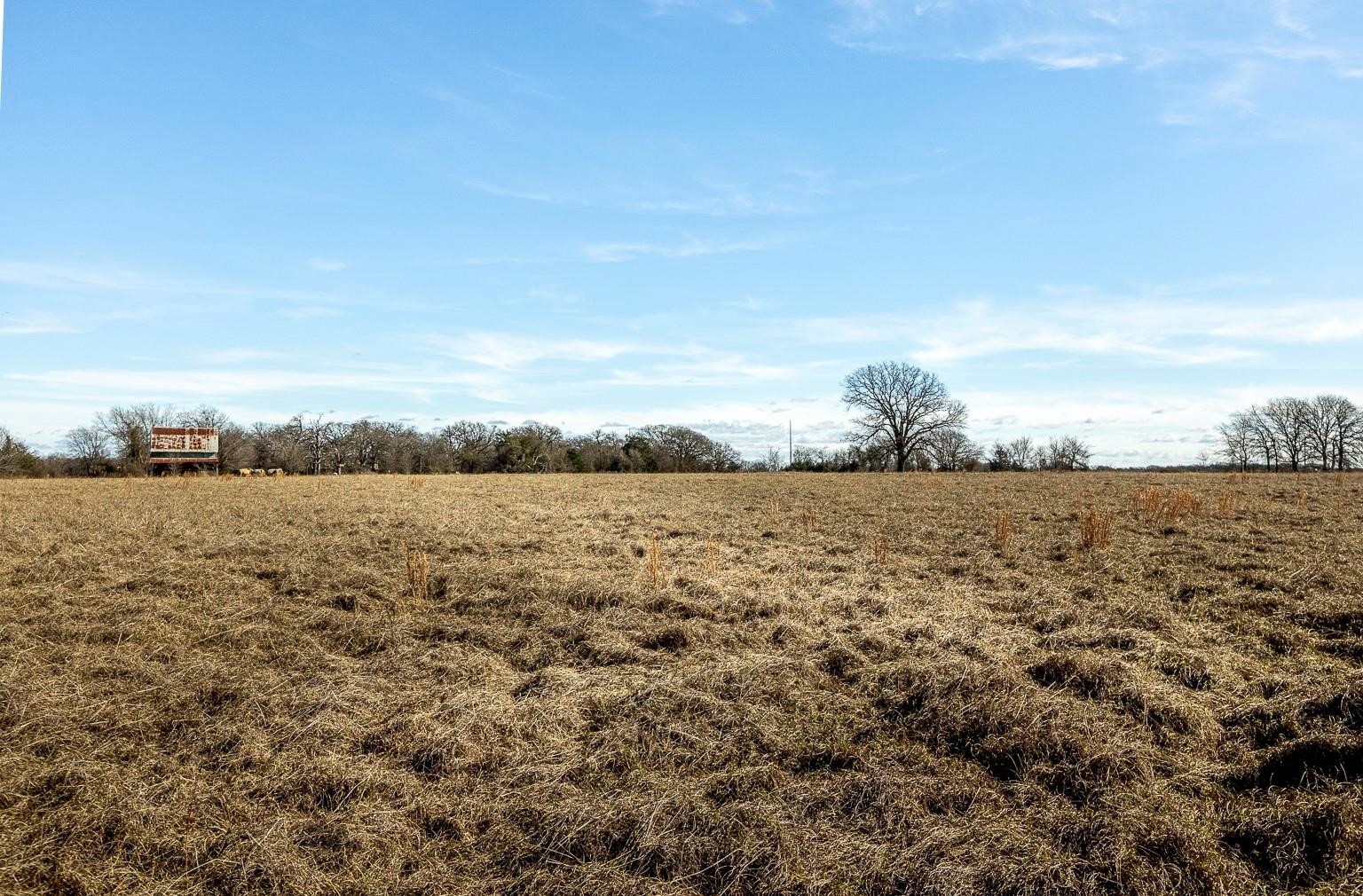 12005 County Road 4078 Scurry TX 75158