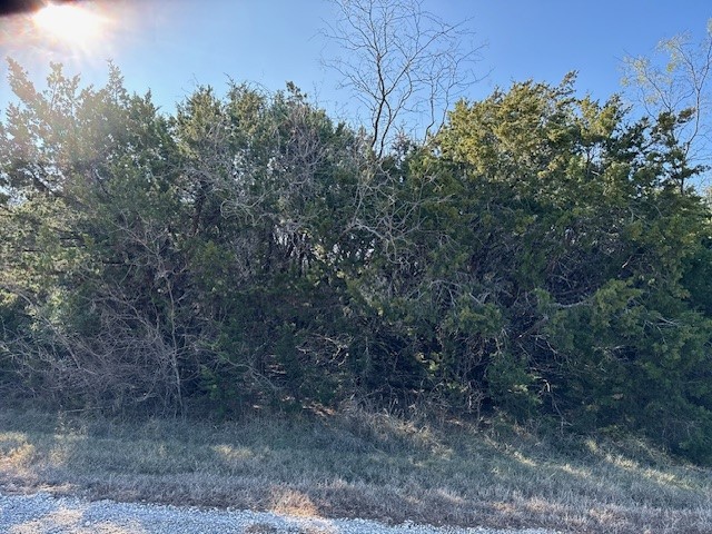 23108 Whispering Meadow Drive Whitney TX 76692