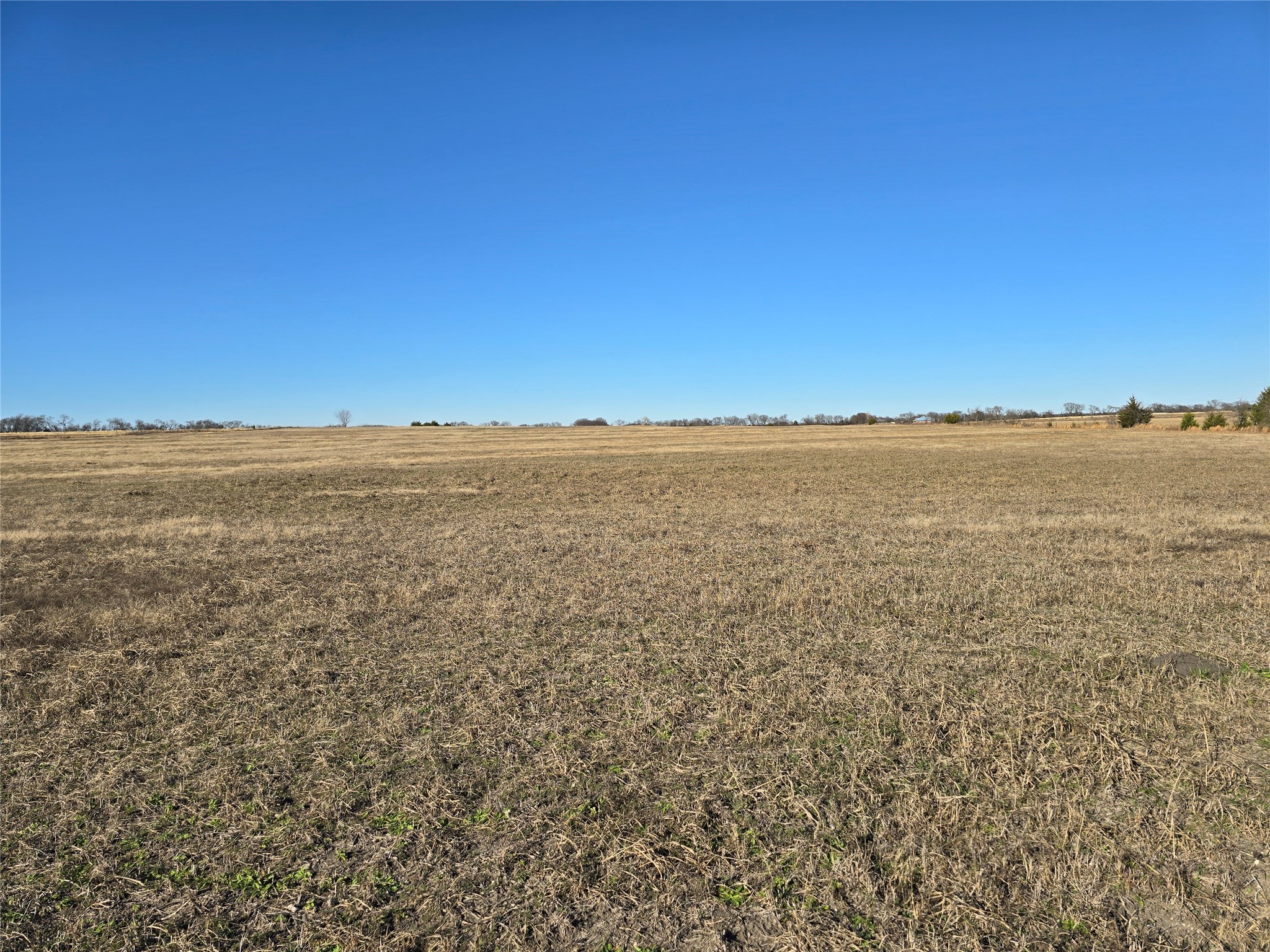 9999 Fm 3133 Road Van Alstyne TX 75495