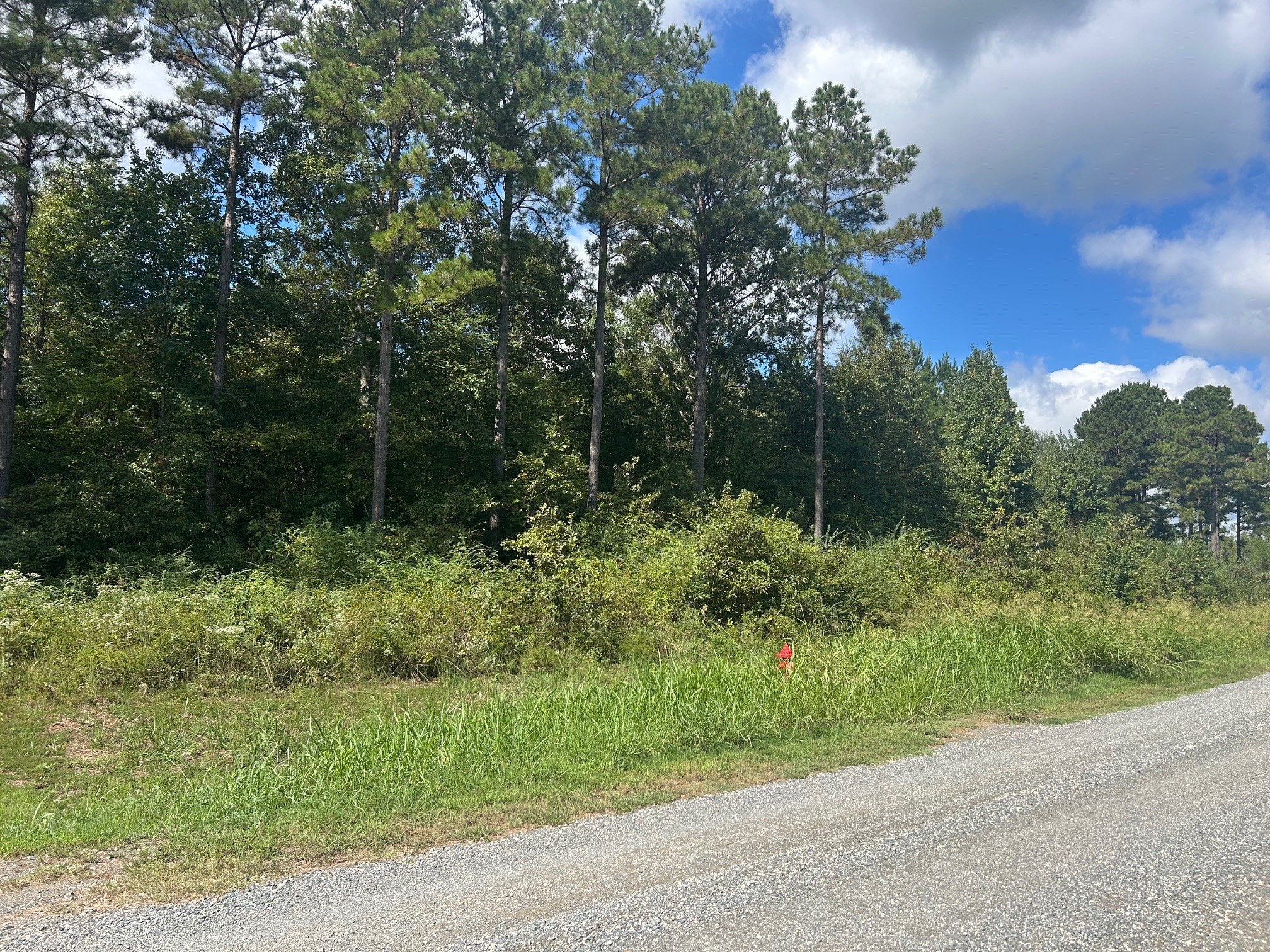 0 Cottonwood Frierson LA 71027