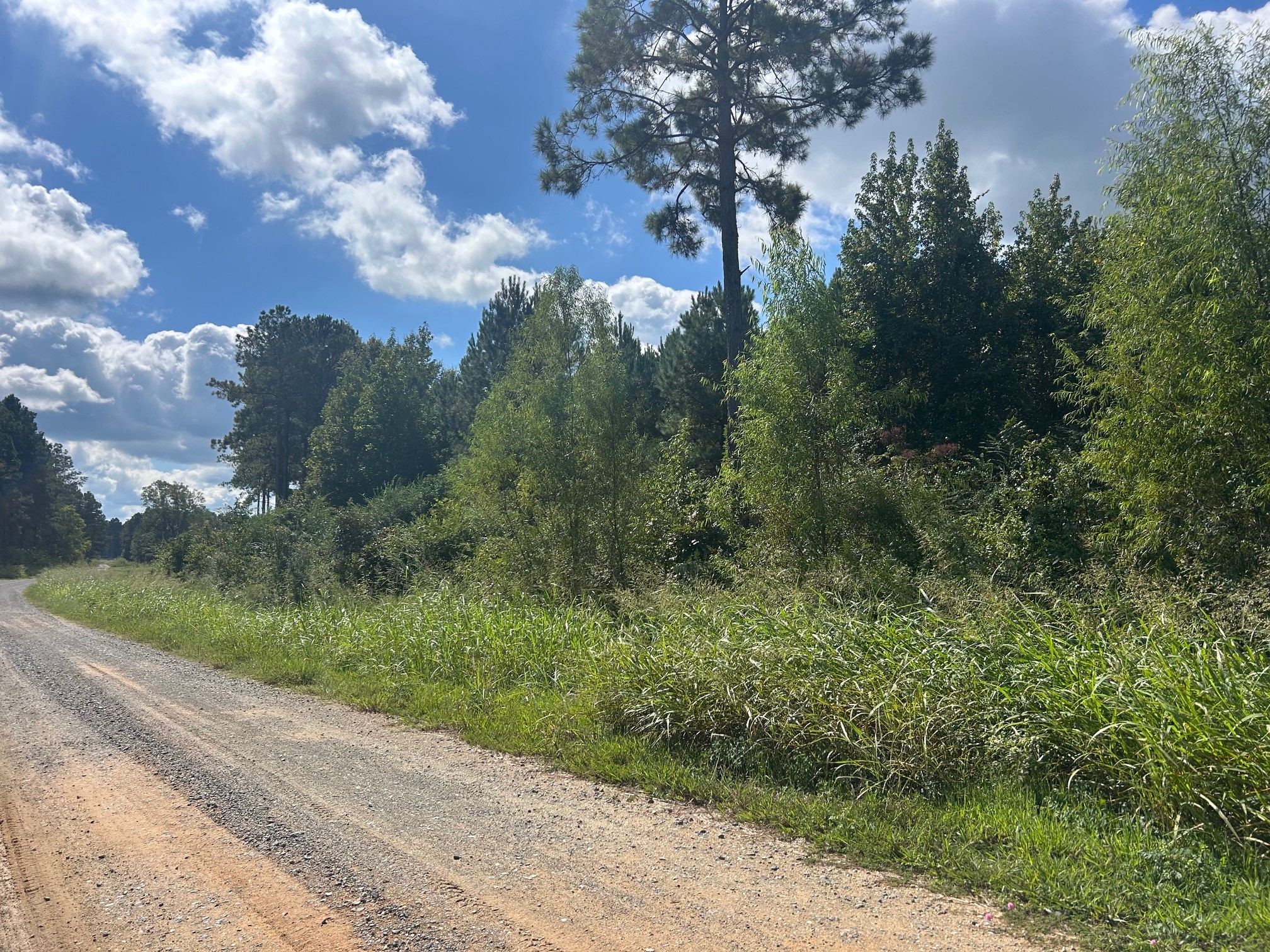 0 Cottonwood Frierson LA 71027