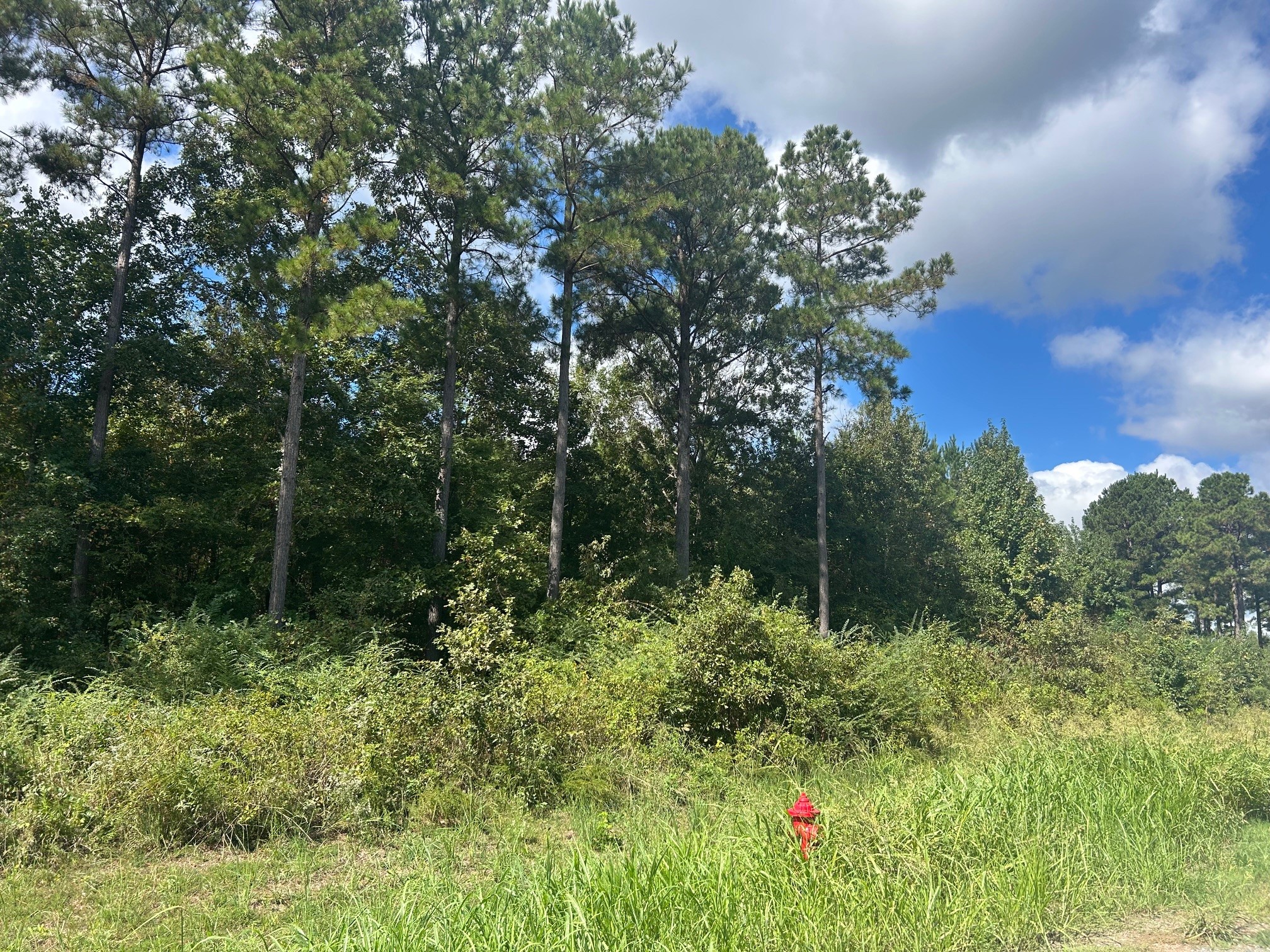 0 Cottonwood Frierson LA 71027